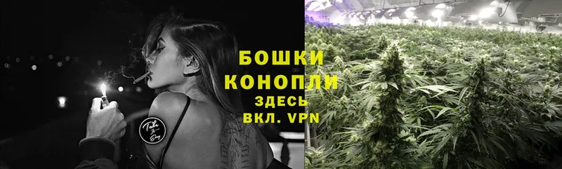 Шишки марихуана White Widow  купить наркотики сайты  KRAKEN ТОР  Грязовец 